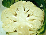 coliflor