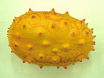 kiwano