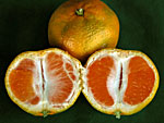 mandarina