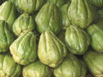 chayote